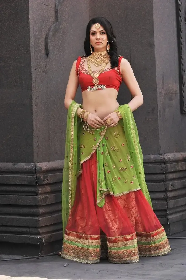 Sakshi Choudhary Images In Indian Traditional Red Lehenga Choli